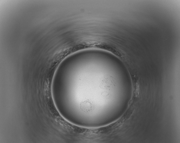 X0000077370917200610271916