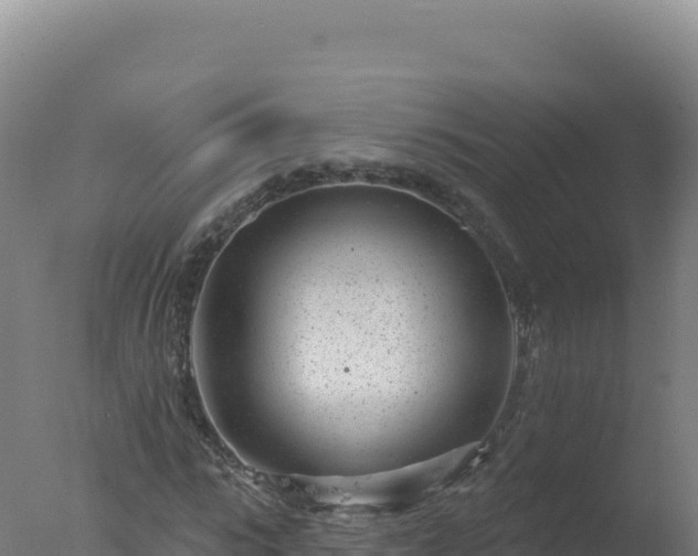 X0000077370919200610271916