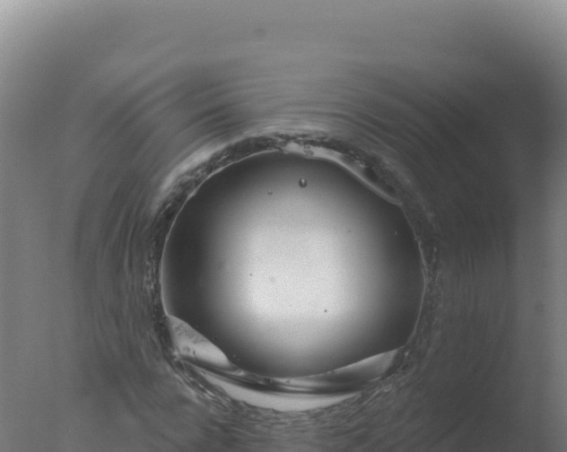 X0000077370920200610271916