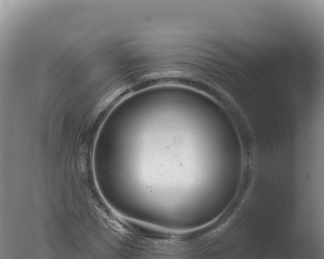 X0000077370921200610271916