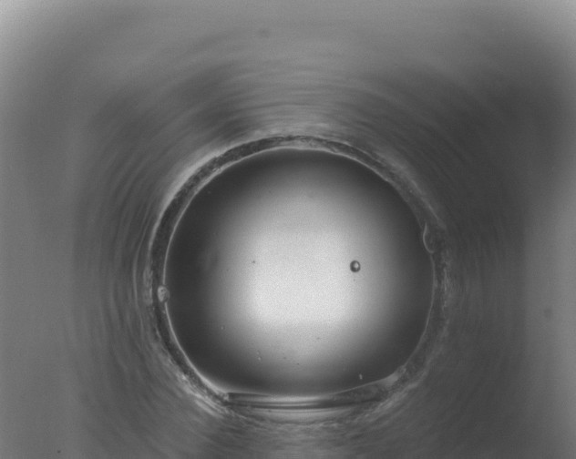 X0000077370924200610271916