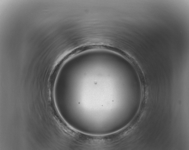 X0000077370925200610271916