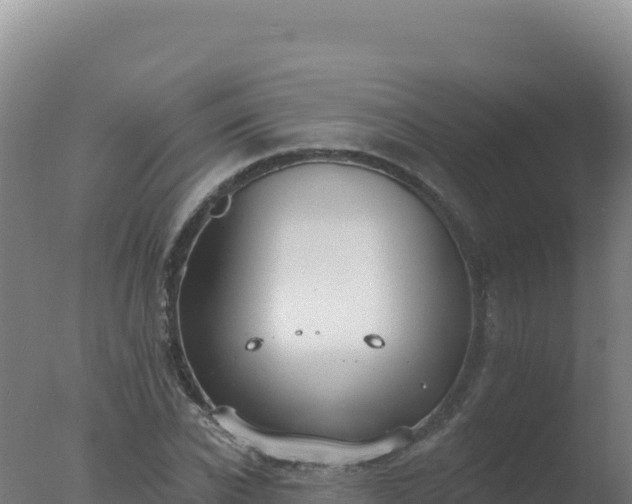 X0000077370926200610271916