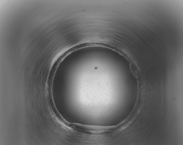 X0000077370928200610271916