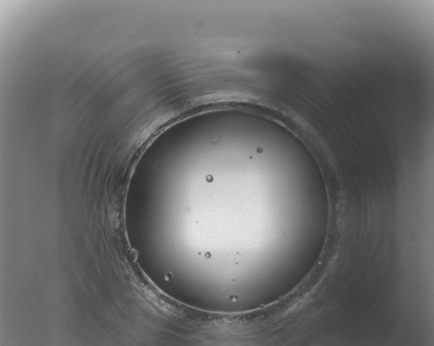 X0000077370929200610271916