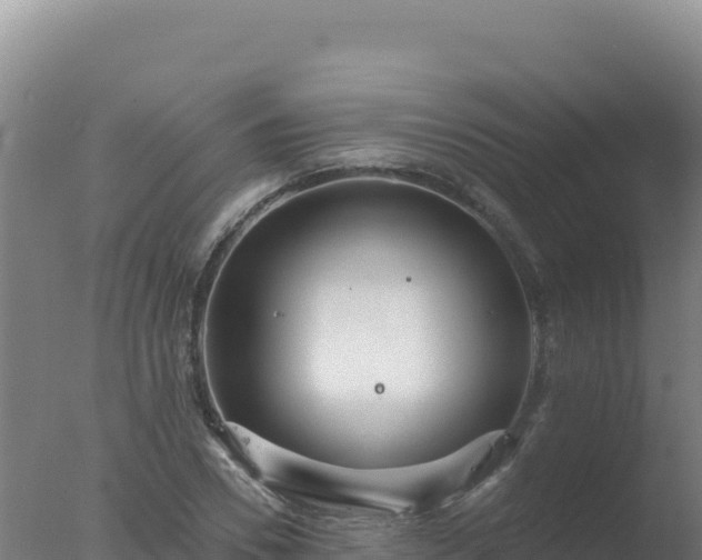 X0000077370930200610271916