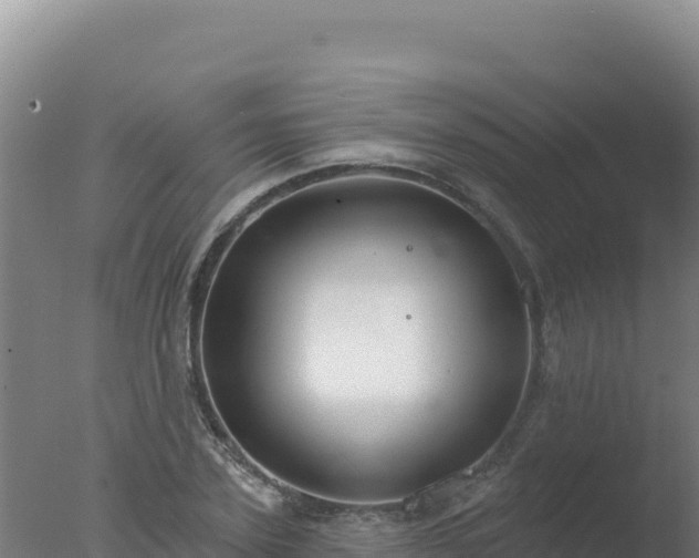 X0000077370931200610271916