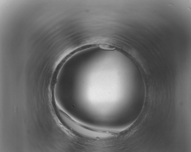 X0000077370936200610271916