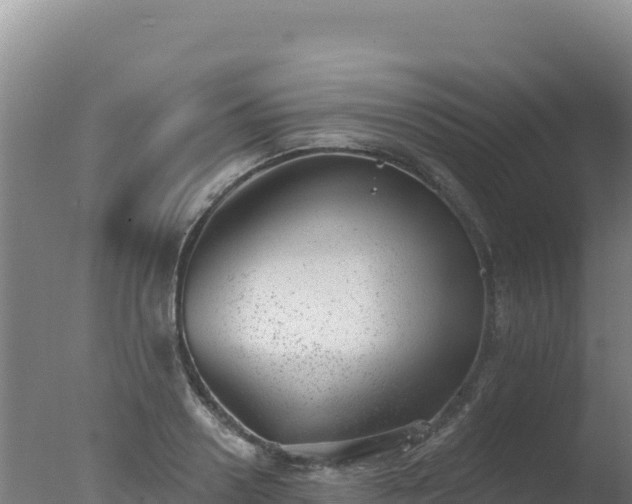 X0000077370938200610271916