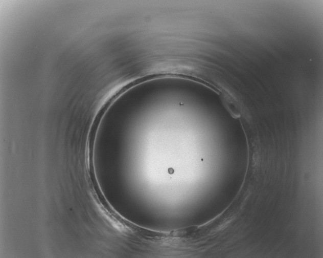 X0000077370940200610271916