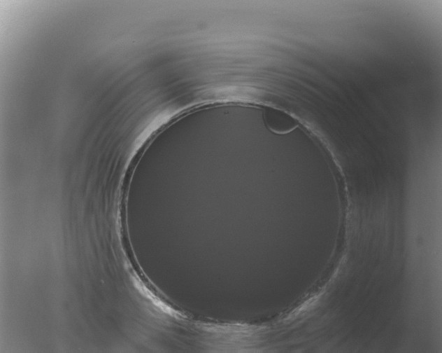 X0000077370941200610271916