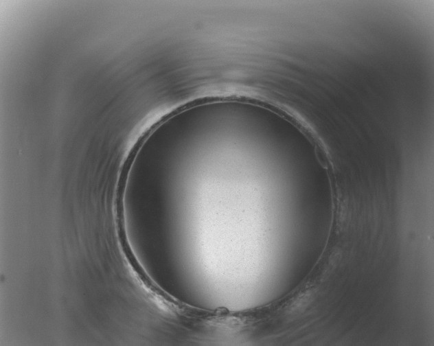 X0000077370943200610271916