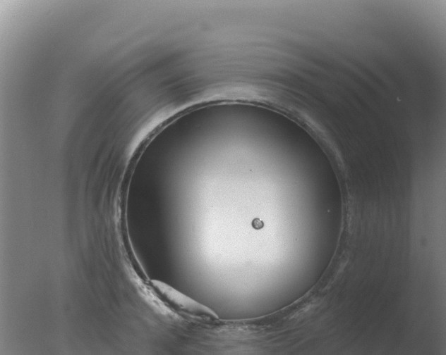 X0000077370944200610271916