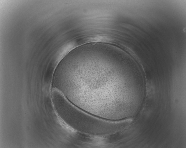 X0000077370946200610271916