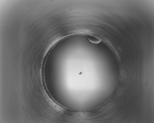 X0000077370947200610271916