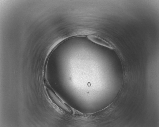 X0000077370948200610271916