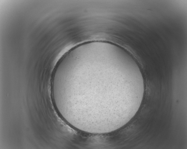 X0000077370950200610271916