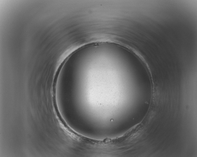 X0000077370951200610271916