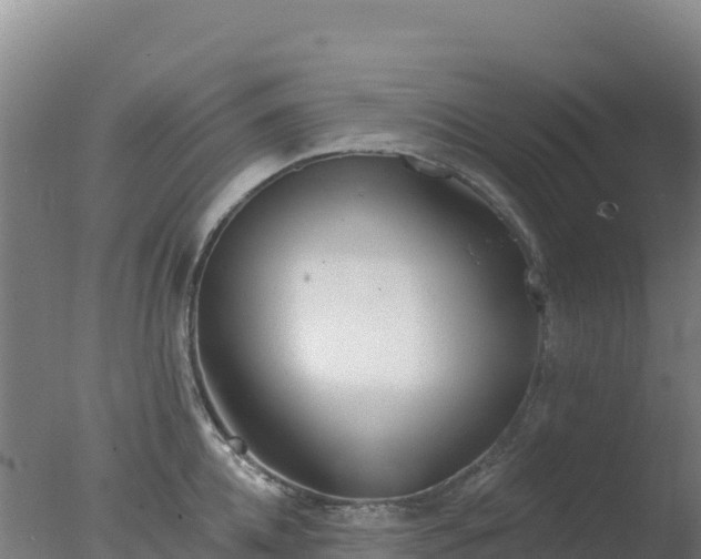 X0000077370952200610271916