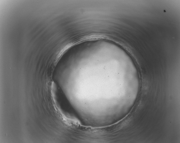 X0000077370953200610271916