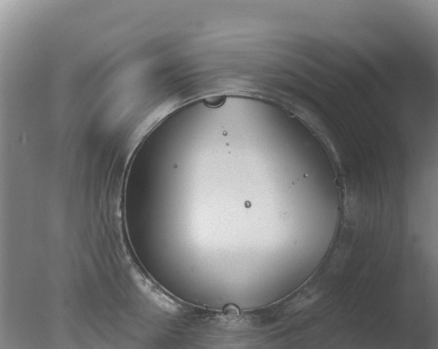 X0000077370954200610271916