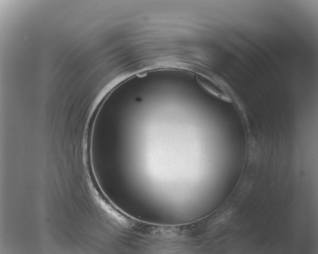 X0000077370955200610271917