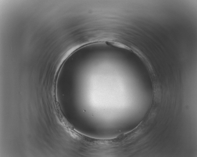 X0000077370956200610271917