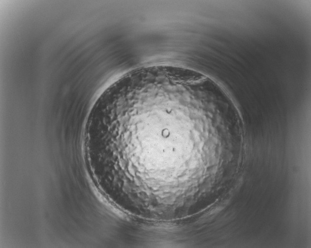 X0000077370957200610271917