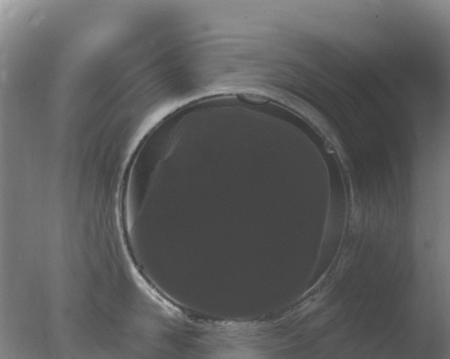 X0000077370958200610271917