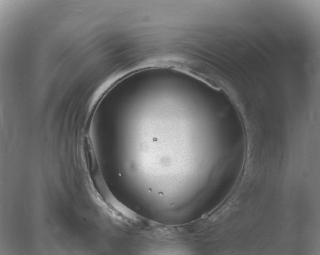 X0000077370960200610271917