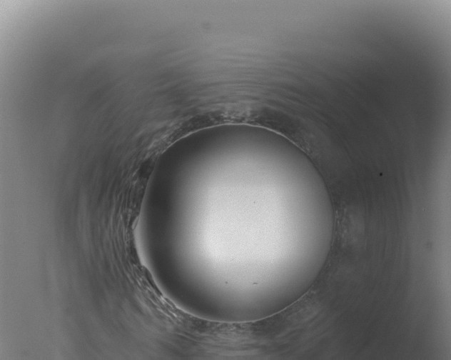 X0000077370962200610271916