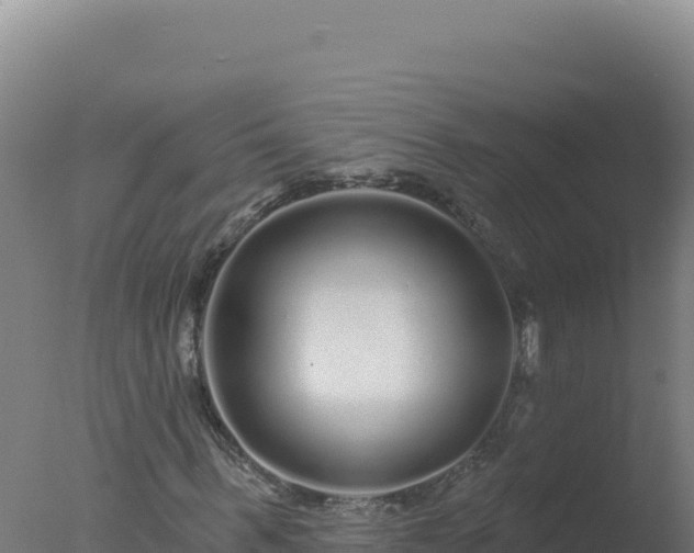 X0000077370963200610271916