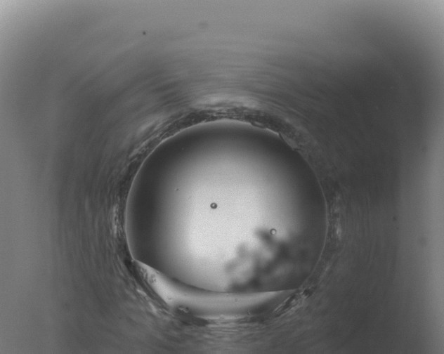 X0000077370965200610271916