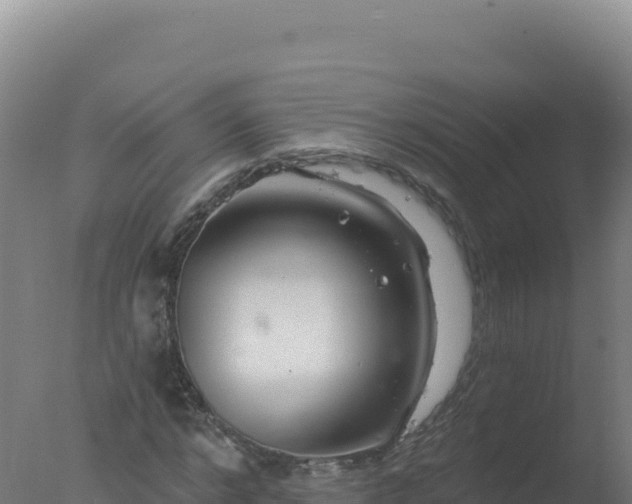 X0000077370968200610271916