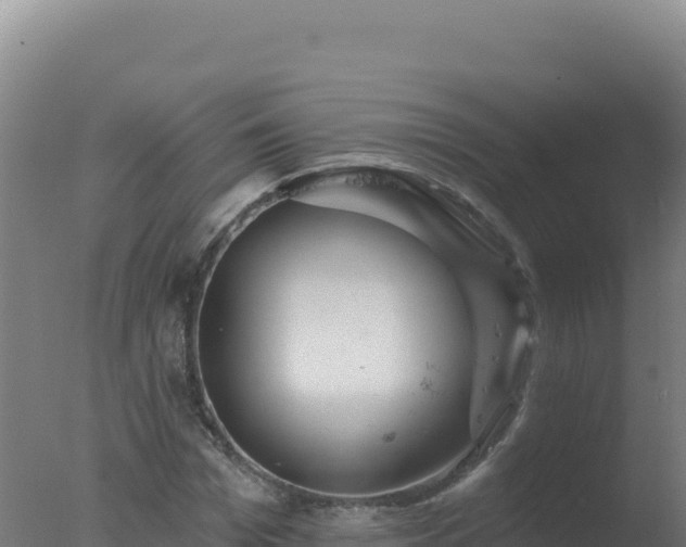 X0000077370969200610271916