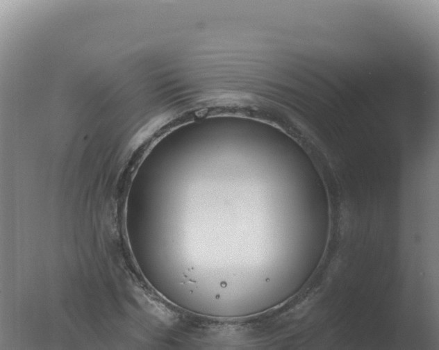 X0000077370970200610271916