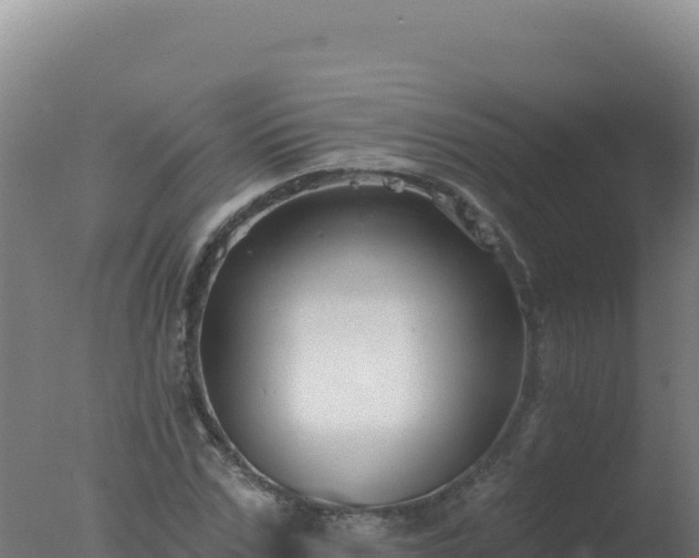 X0000077370971200610271916