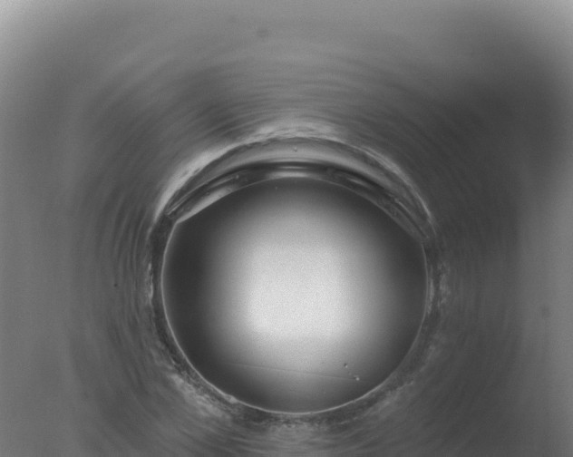 X0000077370973200610271916