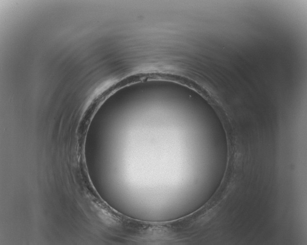 X0000077370974200610271916