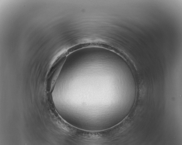 X0000077370975200610271916