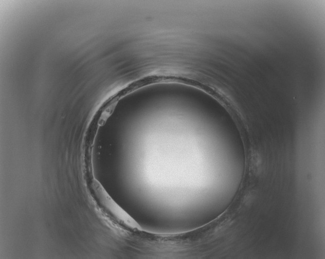 X0000077370976200610271916