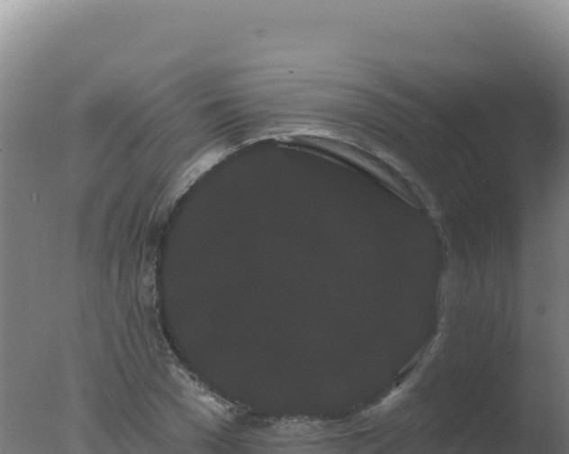 X0000077370977200610271916