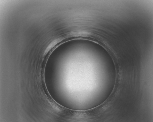 X0000077370978200610271915