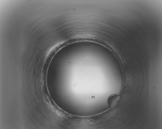 X0000077370979200610271915