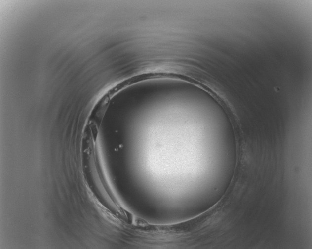 X0000077370980200610271915