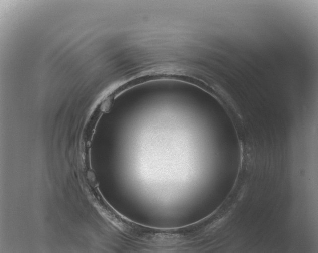 X0000077370981200610271915