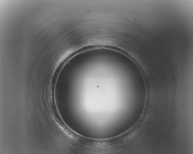 X0000077370982200610271915