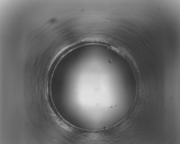 X0000077370984200610271915