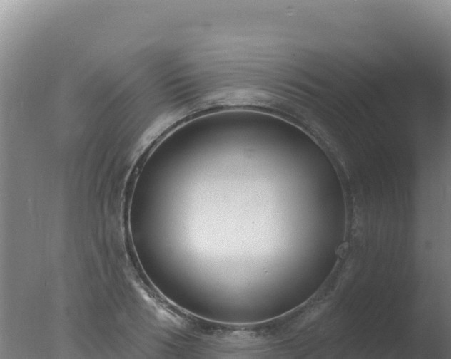 X0000077370986200610271915