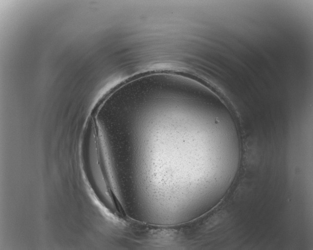 X0000077370991200610271915